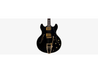 Sire Larry Carlton H7T Black Sire Larry Carlton H7T Black